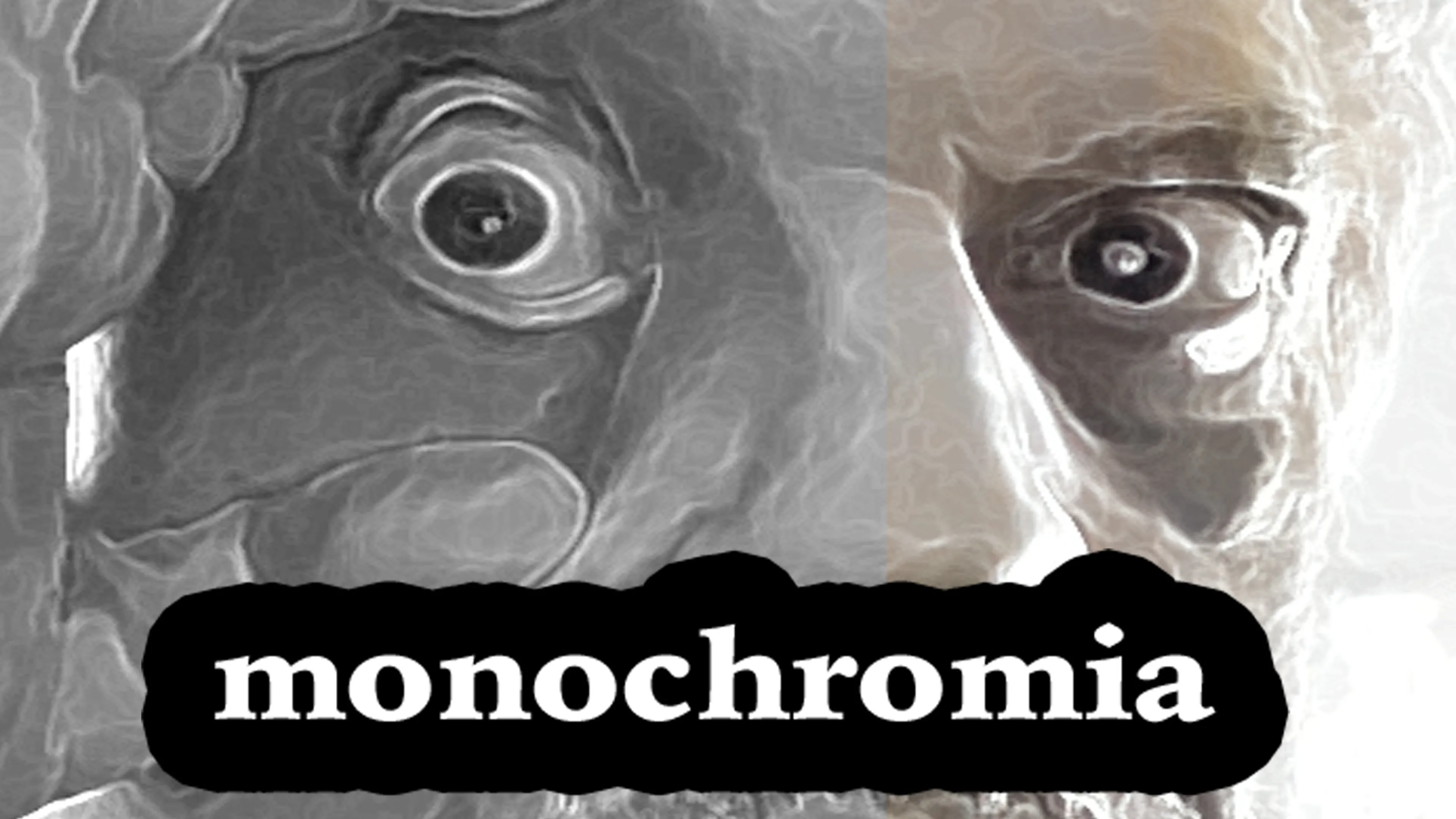 Monochromia poster
